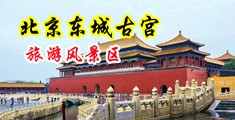 粉逼喷水网中国北京-东城古宫旅游风景区